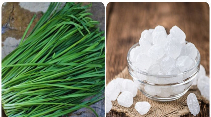 8 Tried-and-True Ways to Use Chives to Treat Coughs for the Whole Family