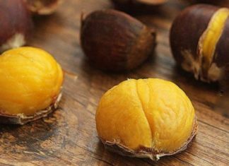 Mastering the Art of Chestnut Preservation: A Guide to Storing Roasted and Fresh Chestnuts