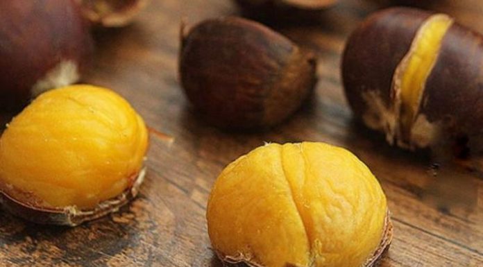 Mastering the Art of Chestnut Preservation: A Guide to Storing Roasted and Fresh Chestnuts