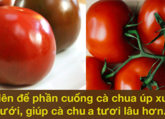 The Ultimate Guide to Keeping Your Veggies Fresher for Longer: Handy Hacks Revealed!