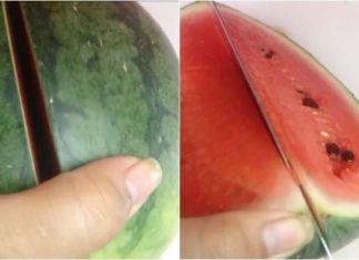 The Perfect Watermelon Carving: A Simple and Unique Bird Design