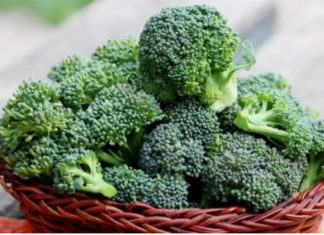 Super-Veggie: Green Broccoli, a Superfood to Safeguard Your Family’s Health