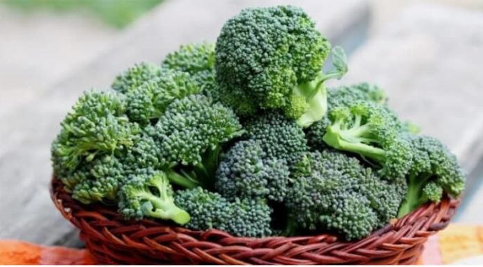 Super-Veggie: Green Broccoli, a Superfood to Safeguard Your Family’s Health