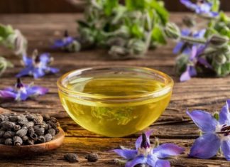 What is Borage Oil? The Benefits of Borage Oil for Skin.