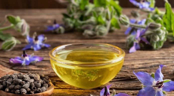 What is Borage Oil? The Benefits of Borage Oil for Skin.