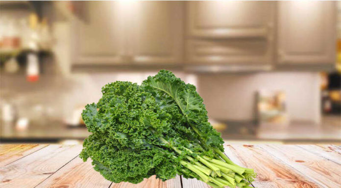 “The Great Kale Conundrum: Unlocking the Benefits of Powdered and Fresh Kale”