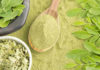 What is Moringa Oleifera Powder? Unlocking the Benefits and Usage of This Superfood.