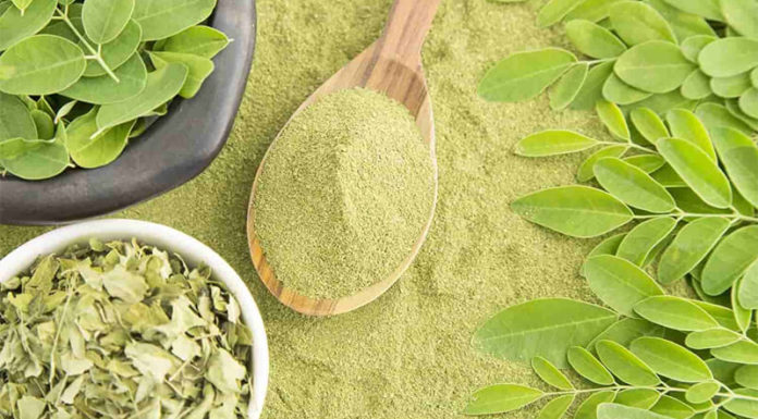 What is Moringa Oleifera Powder? Unlocking the Benefits and Usage of This Superfood.