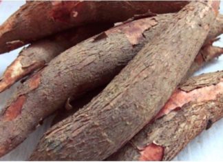 Is Tapioca Starch and Water Chestnut Starch the Same or Different?