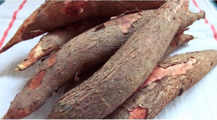 Is Tapioca Starch and Water Chestnut Starch the Same or Different?