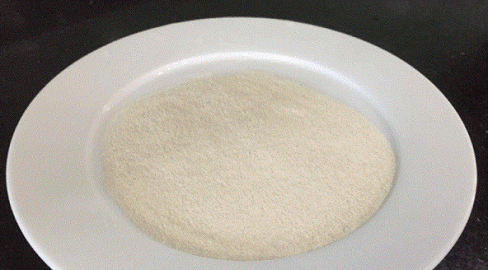 What is Agar Powder? Where Does it Come From and What are the Most Common Types?