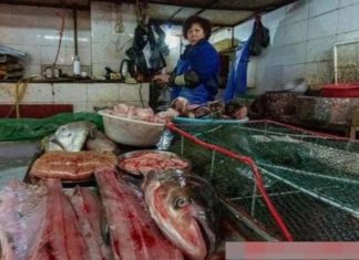 Why Do Many Fish Sellers Use Black Nylon Bags?