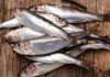 3 Types of Fish That Are as Nutritious as Ginseng and Bird’s Nest: A Smart Purchase for a Healthy You