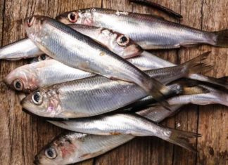 3 Types of Fish That Are as Nutritious as Ginseng and Bird’s Nest: A Smart Purchase for a Healthy You