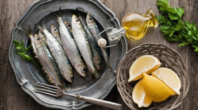 What are Fatty Fish? Health Benefits and How to Choose the Freshest Catch