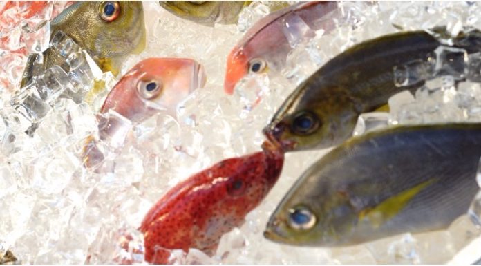 Is Frozen Fish as Good as Fresh?