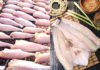 What is Sun-Dried Fish? Is it Delicious and How Do You Store it?