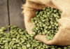 What is Green Coffee? Does it Really Help with Weight Loss?