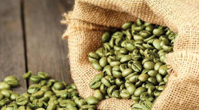 What is Green Coffee? Does it Really Help with Weight Loss?