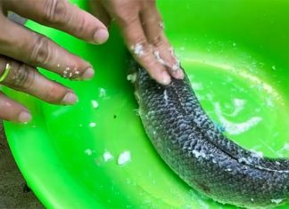 “Make Fish Odorless and Grease-Free with These Kitchen Staples”