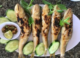 What is a ‘Cá thuẫn’? Delicious Dishes to Prepare with the ‘Cá thuẫn’ Fish.