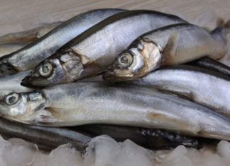 The Ultimate Guide to Roe Fish: Unlocking the Secrets of This Delicacy and Its Endless Benefits