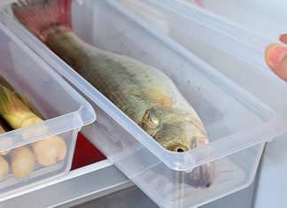 How Long Does Fresh and Cooked Fish Stay Good For? The Master Guide to Storing Fish the Right Way.