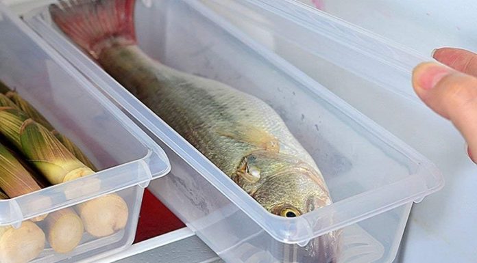 How Long Does Fresh and Cooked Fish Stay Good For? The Master Guide to Storing Fish the Right Way.