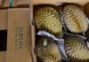 Preserving the Freshness of Durian: Simple and Effective Methods