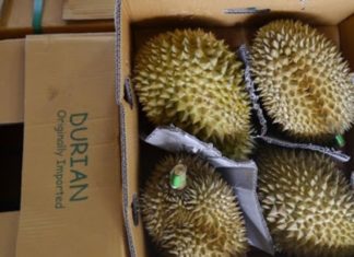 Preserving the Freshness of Durian: Simple and Effective Methods