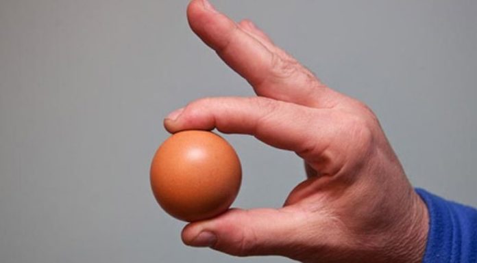 The Ultimate Guide: How to Tell if an Egg is Fresh or Old
