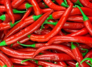 The Magic of Herbs and Spices in Asian and European Cuisines