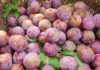 The Ultimate Guide to Plums in Northern Vietnam: How to Choose the Sweetest Hanoi Plums