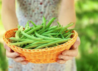 “The Ultimate Guide to Cooking Your Veggies: Why Some Vegetables Need to be Cooked Before Consumption”