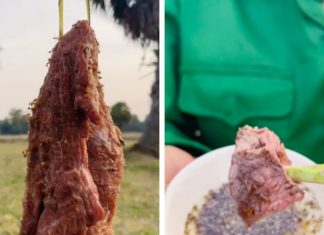 Golden Delicacies: The Ultimate Insect-ivory Experience