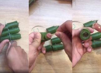 “The Ultimate Guide to Eating Nem Chua: A Tasty Vietnamese Treat”