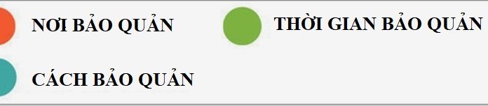 The Ultimate Guide to Storing Your Favorite Foods