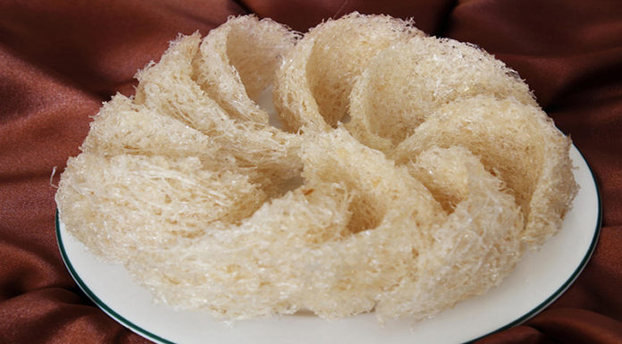 The Ultimate Guide to Storing Cleaned Bird’s Nest for Long-Lasting Quality