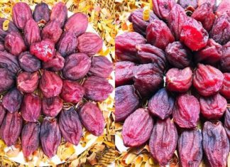 The Secret to Preserving Wind-Dried Apricots: Maintaining Their Soft, Delicious Texture Without Mold