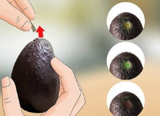 The Ultimate Guide to Butter Storage: 2 Simple Steps to Keep Your Butter Fresh for Months