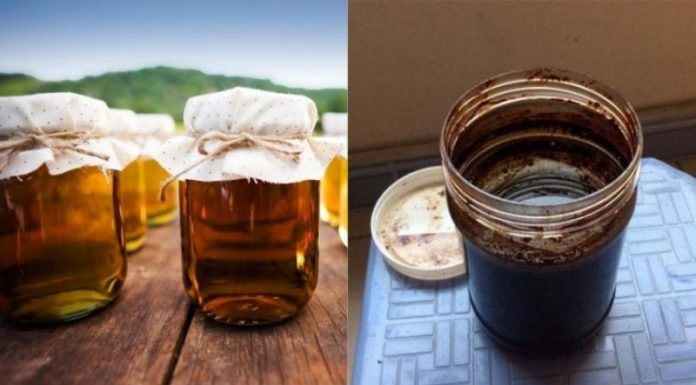 The Secret to Proper Honey Storage: Avoiding the Turn to Toxins