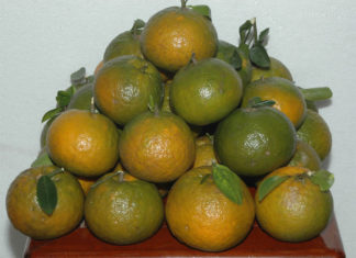 The Ultimate Guide to Fresh Fruit Preservation: Extend Shelf Life by Up to 3 Months