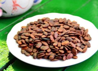 The Ultimate Guide to Storing Watermelon Seeds for the Lunar New Year