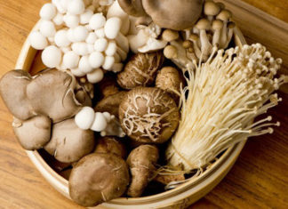 The Ultimate Guide to Storing Fresh Mushrooms: Maximizing Shelf Life and Nutritional Value
