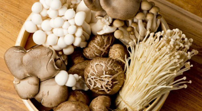 The Ultimate Guide to Storing Fresh Mushrooms: Maximizing Shelf Life and Nutritional Value
