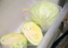How to Store Cabbage to Keep it Fresh and Crisp for Longer