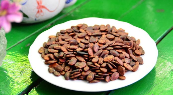 The Ultimate Guide to Storing Watermelon Seeds for the Lunar New Year