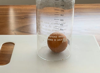 The Ultimate Hack to Peel Eggs Super Fast and Intact: A Kitchen Tool to the Rescue!