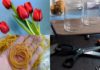 The Art of Arranging Tulips: A Simple Guide to an Elegant Display