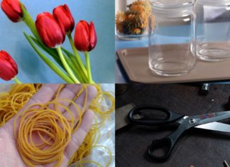 The Art of Arranging Tulips: A Simple Guide to an Elegant Display